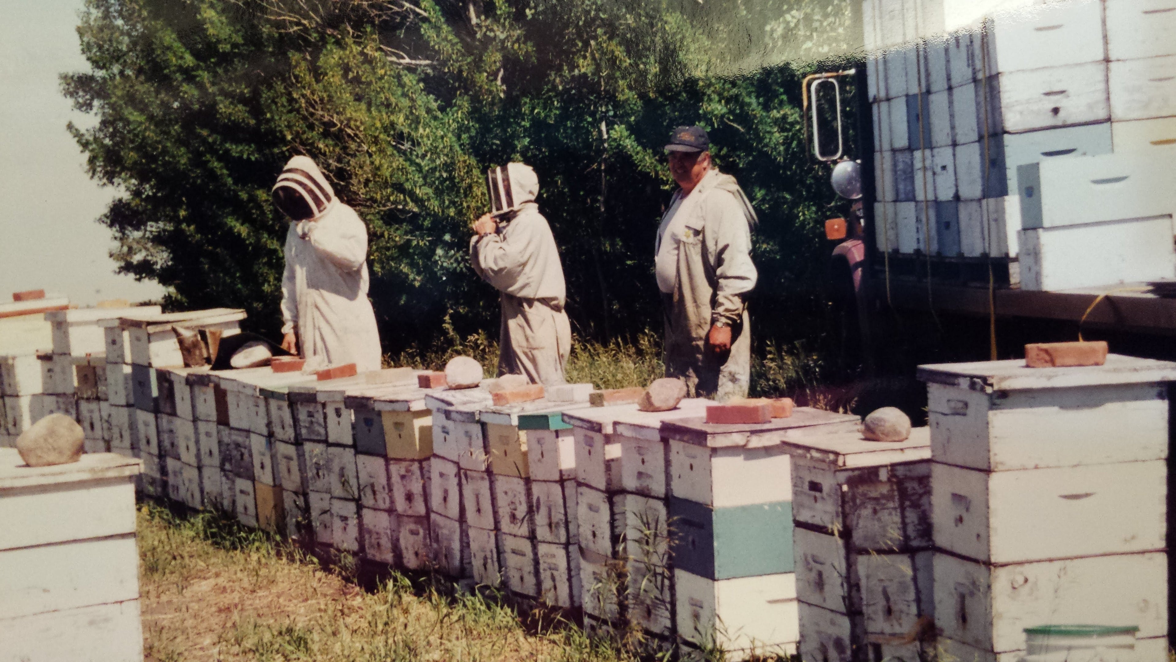 beekeepers get ready to tend to bees in the 90s